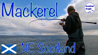 Mackerel fishing from the shore  North East Scotland  Aberdeenshire [upl. by Donnie712]