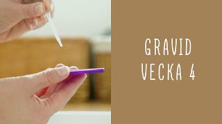 Gravid vecka 4 [upl. by Joao]