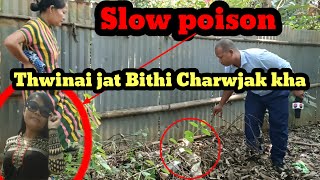 Thwinai Jat Bithi Charwjak kha Slow poison Ruti Bai Paneer Cha phuru 100 Guarantee Rupali DB [upl. by Beuthel441]