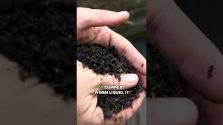 Earthworms Vs Compost Worms [upl. by Ashleigh]