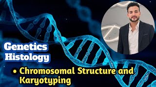 Chromosomal Structure and Karyotyping [upl. by Enattirb292]