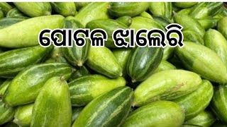 ପୋଟଳ କୁ ଏମିତି ବନାତୁ ପୋଟଳ ଚପ୍‌putala chupपौटल झालेरी [upl. by Cathryn]