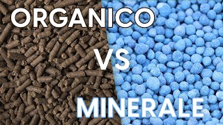 Concime organico vs concime minerale quale scegliere [upl. by Anwahs]