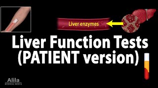 Liver Function Tests Animation for Patients [upl. by Marge]