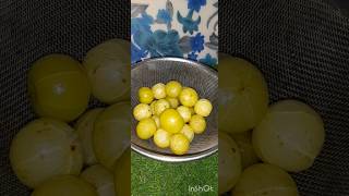 Amala ka Achaar  Gooseberry pickle AmalaMirch Achaar  Health benefitseyeshairsugarfat [upl. by Anoved]