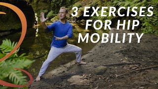 3 Essential Hip Mobility Exercises for Seniors  Qigong with Lee Holden [upl. by Kopaz133]