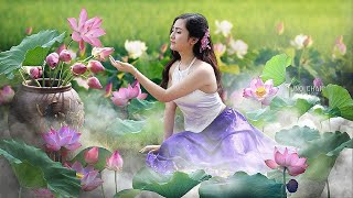 Vietnamese Music  Vietnamese Traditional Bamboo Flute  Relaxing Instrumental Music for Sleep [upl. by Leone]