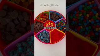 Interesting facts 🤩 shorts oddlysatisfying asmr [upl. by Ycnaf896]