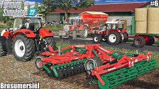 BROSUMERSIEL SPREADING LIME amp CULTIVATING COLLECTING STRAW BALES│BROSUMERSIEL 22│FS22│6 [upl. by Uba]