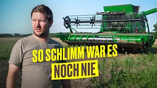 Horror Ernte 2023 NUR Verlust durch Dürre und Starkregen Farm Vlog I Hundert Hektar Heimat [upl. by Teyut]