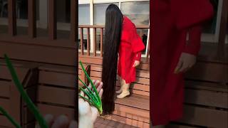 💯Powerful Herbal Serum For Hair Growth  Stop Hairfall shorts haircare longhair video viral [upl. by Lemmor290]