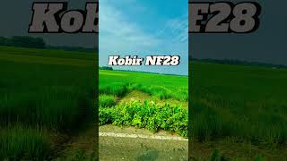 song music newsong bollywood hindisong 4k cutebaby 18october 4knature cute [upl. by Camila]