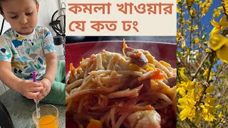 সারা বাগান ছোট ছোট ফুল দিয়ে ভরে গেছে মনে হচ্ছে সামার চলে এসেছে। Healthy noodles recipe [upl. by Humph]