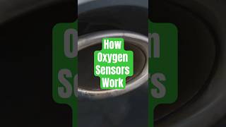 How Oxygen Sensors REALLY Work [upl. by Alesandrini520]