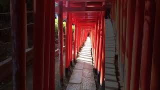 Porte torii tempio Gokokuji Bunkyo tokyo [upl. by Massie]