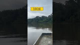 Foam Signals Rising Water On Pascagoula River fishing catfish catfishfish fish river boat [upl. by Itsyrk]