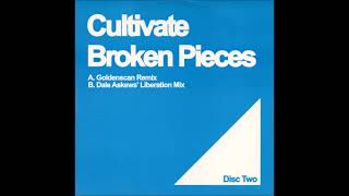 Cultivate  Broken Pieces Goldenscan Remix [upl. by Euqinomad]