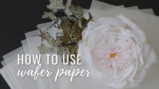 What is Wafer Paper How to use wafer paper Can you put wafer paper on buttercream In the fridge [upl. by Sukramal]