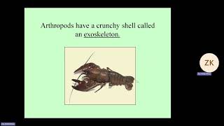 Biology 1ST YearChapter10Topic PHYLUM OF arthropods By ProfZia ullah khan uniqueLda [upl. by Shih]