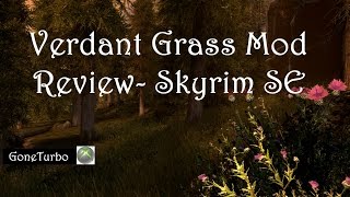 Verdant Grass Mod Review Skyrim SE [upl. by Nosauq]