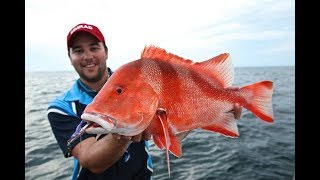 Highlights from the Montebello Islands [upl. by Auhsaj991]