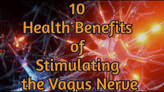 10 Health Benefits of Stimulating the Vagus Nerve [upl. by Arrekahs809]