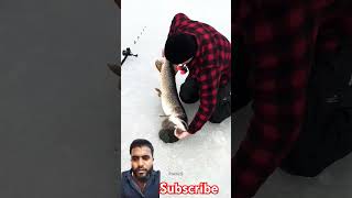 Barf river machhali fish icefishing fishing icefish vlog funny shorts ytshorts [upl. by Aticnemrac846]