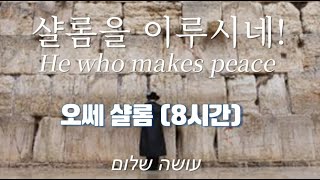 히브리찬양 샬롬을 이루시네 עשוה שלום 오쎄 샬롬 OSEH SHALOM  Played by Violist 박두리 비올라 [upl. by Lucho]