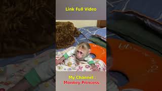 Monkey NANA woke up and missed her dad so much shorts smartmonkey babymonkey monkeynana [upl. by Ainigriv]