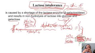 C301d lactose intolerance Dairy technology [upl. by Francesca]