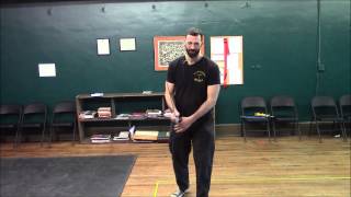 Vier Leger of Codex Döbringer Longsword Lesson 18 [upl. by Nryhtak454]