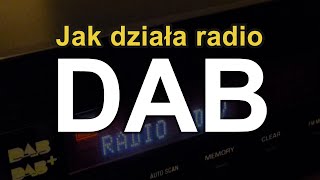 Jak działa radio DAB RS Elektronika 67 [upl. by Ahsya]