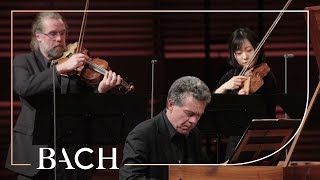 Bach  Harpsichord concerto in F minor BWV 1056  Henstra  Netherlands Bach Society [upl. by Hwang263]