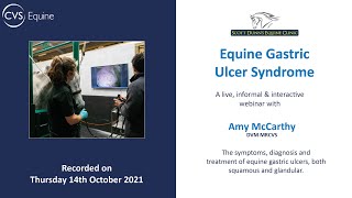 Equine Gastric Ulcer Syndrome [upl. by Ocirederf]