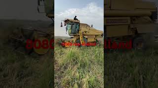 8080claysonnew Holland rice harvesting punjab pakistan [upl. by Ariajay78]