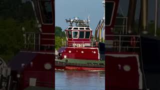 Tugboat sails down Mississippi River in New Orleans neworleans tugboats mississippiriver boating [upl. by Alocin861]