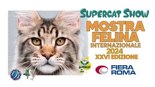 SuperCat Show 2024  Mostra Felina Internazionale  Fiera Roma [upl. by Africah]