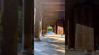 Early fall in Kyoto Nanzenji temple autumn garden temple travel japan kyoto [upl. by Forlini]