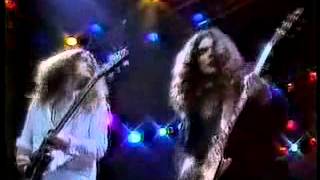 Lynyrd Skynyrd  Free Bird 1979  Lynyrd Skynyrd its back [upl. by Adnamas144]