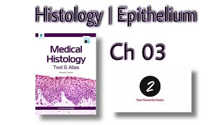 Histology  Chapter 3  Epithelium  Laiq Hussain Atlas of Histology Markings amp Important Questions [upl. by Aihcela108]