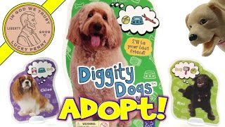 Diggity Dogs Card Game  Butch amp I Adopt Dogs To Win [upl. by Darrow778]