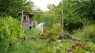 Permaculture et autonomie Visite de la Ferme de la Goursaline [upl. by Kepner890]