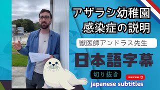 日本語字幕付き アザラシ幼稚園の獣医師アンドラス先生が、質問に答えます☆☆2024828のライブ配信より With Japanese subtitles [upl. by Samanthia931]