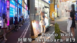 【4K Tokyo walk】秋葉原 Akihabara 19 [upl. by Hannavas]