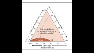 CIRUGÍA La bilis litogenica en la litiasis vesicular se forma por [upl. by Hwang667]