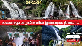 அனைத்து அருவிகளின் இன்றைய நிலவரம்✅🍃🏞 Old Courtallam  Kutrallam Courtallam News  Kutrallam News [upl. by Reade14]