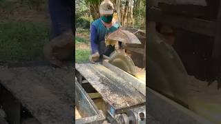 Indian furniture wood cutting woodworking furniture [upl. by Aihsyn28]