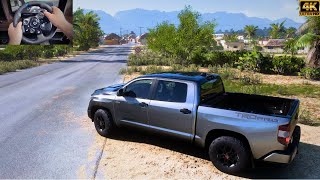 4x4 Toyota Tundra Offroad  Forza Horizon  5 Realistic driving  Steering Wheel Gameplay [upl. by Lipski]