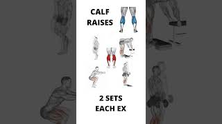 Calf Raises Workout for Calf muscles [upl. by Weatherby]