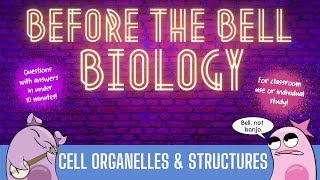 Cell Organelles amp Structures Before the Bell Biology [upl. by Venetia]